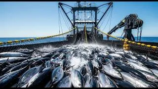 Thumbnail: Giant Bluefin Tuna Worth Thousands Each | Arctic Ocean Longline Fishing