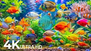 Thumbnail: Dive Into the Mesmerizing Underwater Realm🐳 Marvel at Sea Animal in The Best 4K ULTRA HD Aquarium
