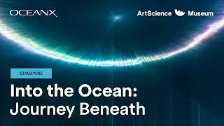 Thumbnail: Into the Ocean: Journey Beneath | ArtScience Museum x OceanX Education