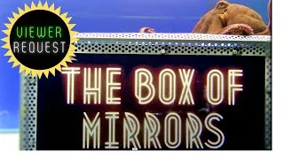 Thumbnail: Octopus Explores The Box of Mirrors - Viewer Request
