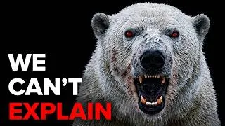 Thumbnail: Why The Deadliest Predators That Kill Humans Don't Actually Want to Eat Us