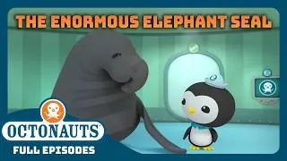 Thumbnail: @Octonauts -  🐘 The Enormous Elephant Seal 🦭 | Season 1 | Full Episode | Cartoons for Kids