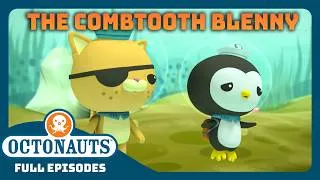 Thumbnail: @Octonauts -  🪸 The Combtooth Blenny 🐠 | Season 1 | Full Episode | Cartoons for Kids