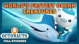 Thumbnail: @Octonauts - 🐬 The Ocean's Fastest Animals 🌊 | 30 Mins+ Full Episode Marathon