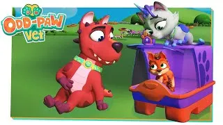 Thumbnail: Squedged in There! BRAND NEW Odd-Paw Vet 🐾  Animal Hospital Vet 🐾 Kid-friendly Animal Cartoons