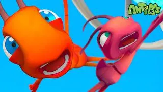 Thumbnail: Hold On Tight! 🫂 | Animal Adventures | Antiks Kids Cartoons
