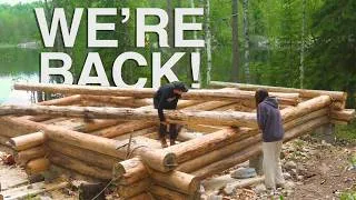 Thumbnail: BACK TO BUILDING OUR LOG CABIN!