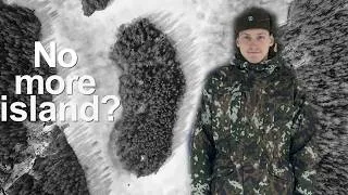 Thumbnail: What's Going On?