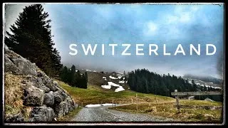 Thumbnail: Whispers of the Wind: A Tranquil Study Soundscape – pure nature ambience #440