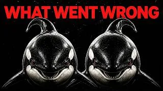 Thumbnail: The Only Time in History a Killer Whale Killed a Human