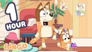 Thumbnail: Bingo Is Making Chilli LATE! 😮🧡 | Bingo - Official Channel