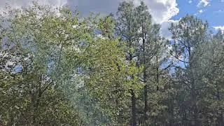 Thumbnail: Gentle Waterfall in Nature ASMR (Rain, Lake, Calming, Studying Support, Sleep Aid)