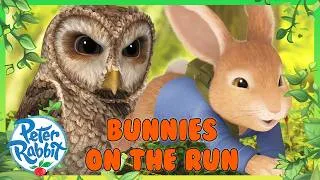 Thumbnail: @OfficialPeterRabbit | 🌳🍃 Bunnies On The Run 🐰💨 | 1 Hour | Cartoons For Kids