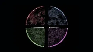 Thumbnail: SHARKK x Fecal Face - Midieval (Official Visualizer) | Electronic Music 2026