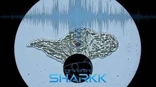 Thumbnail: SHARKK - Virus (Official Visualizer) | Electronic Music 2026