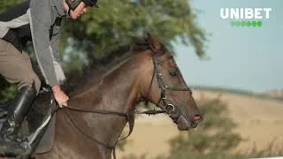 Thumbnail: 🏇 Nicky Henderson discusses what's next for Constitution Hill!