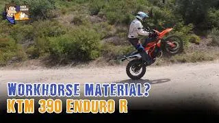 Thumbnail: KTM 390 Enduro R | Honest Review from a Tour Guide