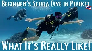 Thumbnail: Beginner’s Scuba Dive in Phuket: What Its REALLY Like!