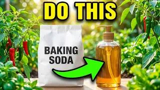 Thumbnail: 🚨 The Baking Soda Miracle Every Gardener Must See! Incredible Plant Growth Results 🌱🔥