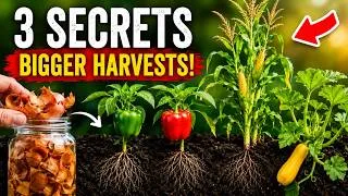 Thumbnail: 3 Gardening Secrets Farmers Don't Want You to Know! Onion Peels, Peppers & Three Sisters 🌱🔥