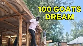 Thumbnail: From One Goat to a 100-Goat Pen – One Day Before the Galla Goats Arrive!