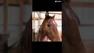 Thumbnail: the 101-200 edits in my camera roll