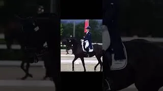 Thumbnail: @Equestrianedits.official  collective video of raws for anyone who needs them!