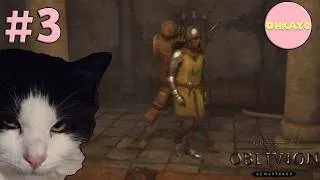 Thumbnail: The Elder Scrolls IV: Oblivion Remastered Part 3