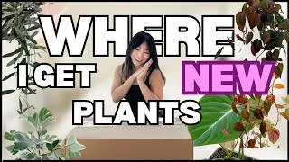 Thumbnail: Unboxing ALL NEW Plants + Grow Lights & Answering YOUR Questions! Repotting | Houseplant Care Tips