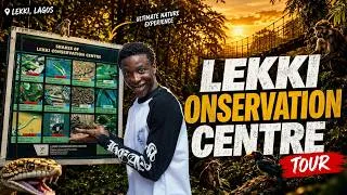 Thumbnail: Ojo goes on a forest adventure