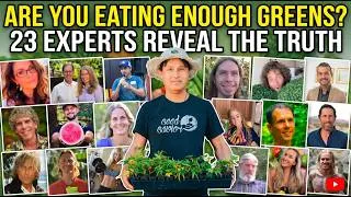 Thumbnail: Are You Eating Enough Greens? 23 Raw Vegan Experts Reveal The Truth