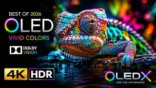 Thumbnail: 4K HDR OLED Demo | Vivid Colors & Deep Blacks 🌈