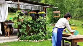 Thumbnail: A Slow Morning in the Countryside | First harvest, homemade cocktail, and a trip to the city