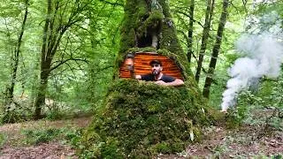 Thumbnail: Building a Hidden Dugout Inside a Great Tree Root, Large Secret Shelter, Bushcraft, Survival