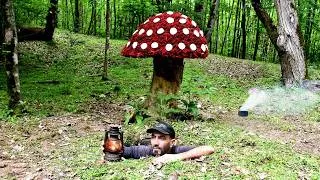 Thumbnail: Building a Warm and Secret Shelter Under a Huge Mushroom, Bushcraft, Survival