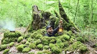 Thumbnail: Building a Secret Dugout Under a Giant Stump. Warm hidden shelter