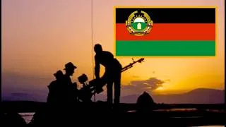Thumbnail: Kino - A Star Called the Sun / Кино - Звезда по имени Солнце