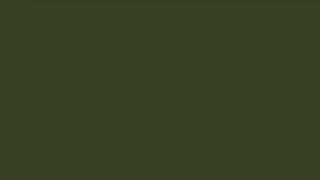 Thumbnail: DARK OLIVE SCREEN IN HD [3 HOURS]