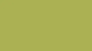 Thumbnail: LIGHT OLIVE SCREEN IN HD [3 HOURS]