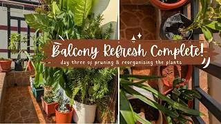 Thumbnail: Finishing My Balcony Garden Refresh 🌿 | Pruning Big Plants