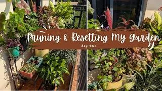 Thumbnail: 2.5 Hours of Plant Care 🌿 | Pruning, Watering & Moving My Plants Back to the Balcony