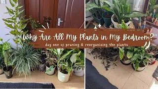 Thumbnail: Moving My Entire Balcony Garden Indoors 🌿 | Preparing for a Balcony Makeover