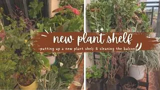 Thumbnail: Balcony Plant Makeover 🌿 Installing a Metal Shelf + Deep Clean