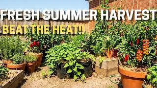 Thumbnail: 7 Vegetables You Can Grow in a Heatwave (And Never Buy Them Again)