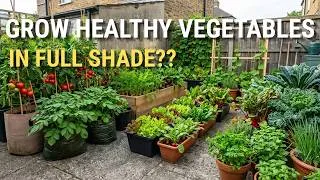 Thumbnail: 7 Vegetables You Can Grow in Full Shade (And Never Buy Them Again)
