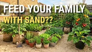 Thumbnail: If I Had Only a Yard of Sand... The Garden I'd Build to Never Buy Vegetables Again