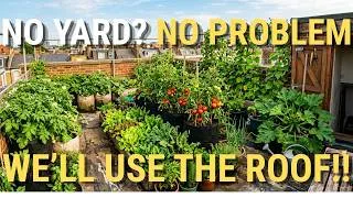 Thumbnail: If I Had Only a Rooftop... The Garden I'd Build to Never Buy Vegetables Again