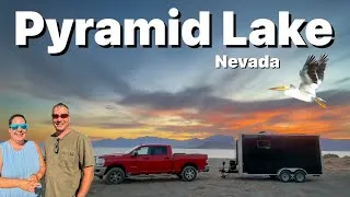 Thumbnail:  Our First Off-Road Adventure—Tufa Towers—100’s of Pelicans—NEVADA