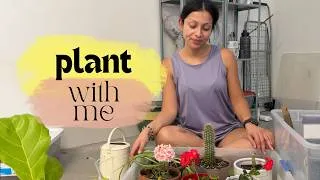 Thumbnail: 🪴 Indoor Plant Tour & Plant Chat | Houseplant Updates & Repotting Fiddle Leaf Fig  VLOG 56)