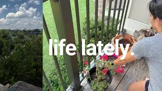 Thumbnail: 🌸 End of Summer Garden Update | Propagating 21 Succulents, Flower Growth & Nature Walk (Vlog 55)